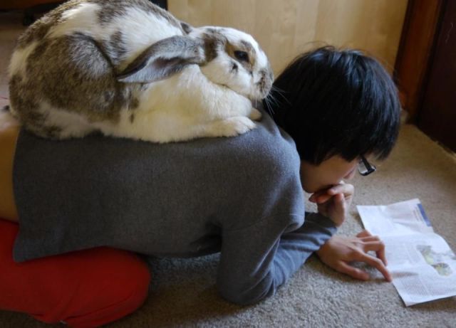 morning picdump 53 pics 42.html - 53 HD Photos | Premium Gallery 2012