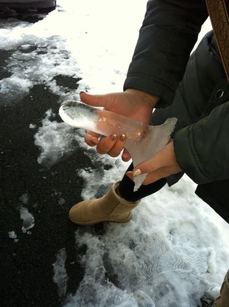 morning picdump 53 pics 42.html - 53 HD Photos | Premium Gallery 2012