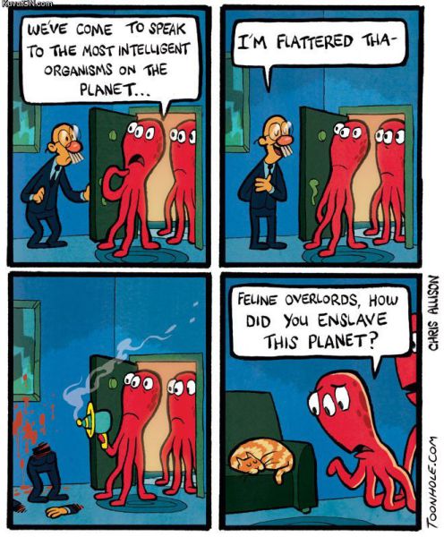 morning picdump 53 pics 42.html - 53 HD Photos | Premium Gallery 2012