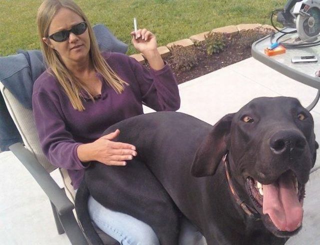 morning picdump 53 pics 42.html - 53 HD Photos | Premium Gallery 2012