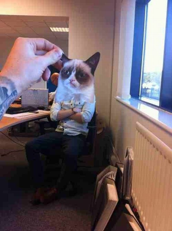 morning picdump 51 pics 49.html - 51 HD Photos | Premium Gallery 2012