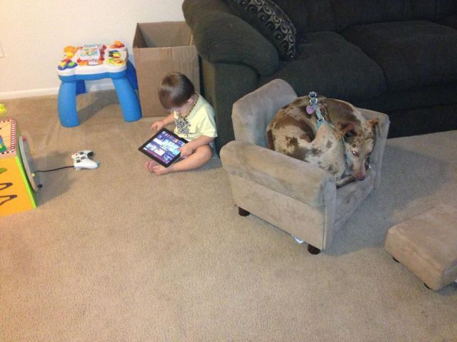 morning picdump 53 pics 7.html - 53 HD Photos | Premium Gallery 2012