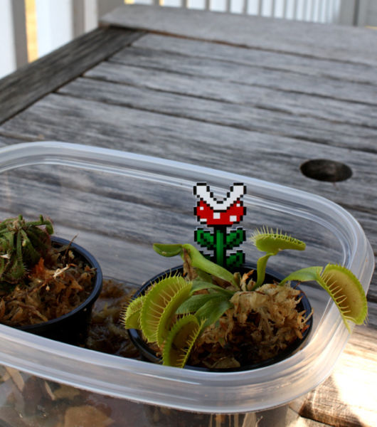 morning picdump 53 pics 7.html - 53 HD Photos | Premium Gallery 2012