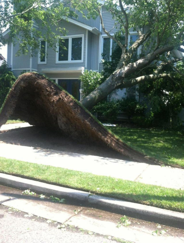 morning picdump 53 pics 7.html - 53 HD Photos | Premium Gallery 2012