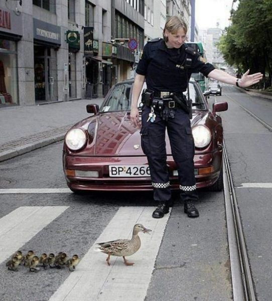 morning picdump 56 pics 14.html - 56 HD Photos | Premium Gallery 2012