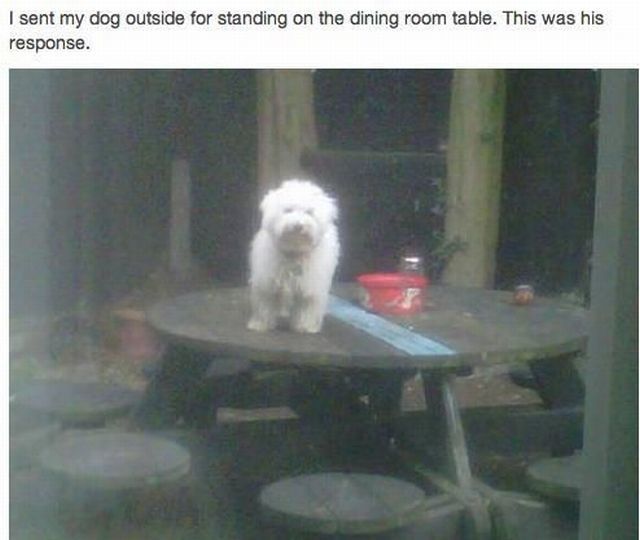 morning picdump 56 pics 14.html - 56 HD Photos | Premium Gallery 2012