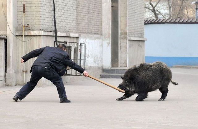 morning picdump 56 pics 14.html - 56 HD Photos | Premium Gallery 2012