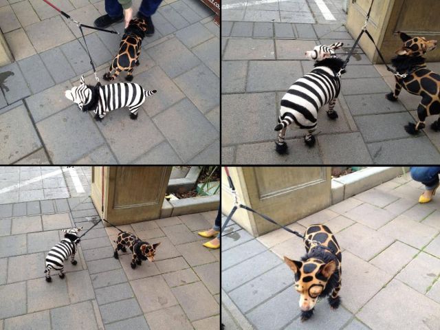 morning picdump 56 pics 14.html - 56 HD Photos | Premium Gallery 2012