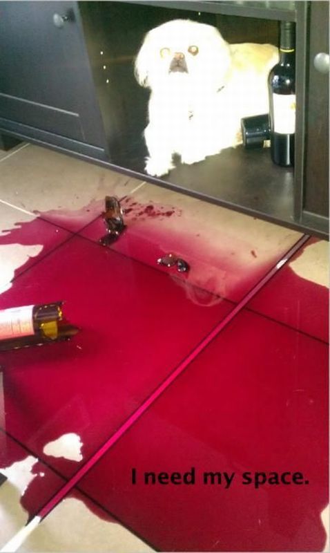 morning picdump 56 pics 14.html - 56 HD Photos | Premium Gallery 2012