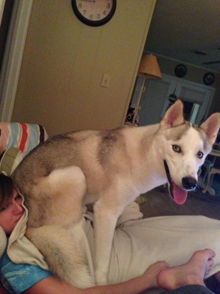 morning picdump 54 pics 9.html - 54 HD Photos | Premium Gallery 2012