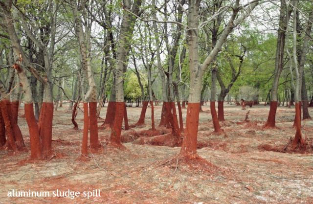 morning picdump 54 pics 9.html - 54 HD Photos | Premium Gallery 2012