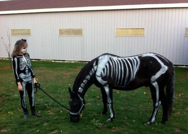 daily picdump 98 pics 24.html - 98 HD Photos | Premium Gallery 2012