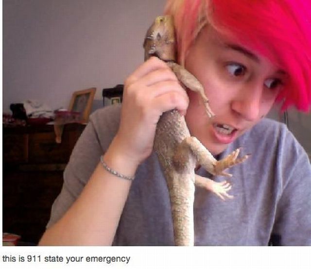 daily picdump 98 pics 24.html - 98 HD Photos | Premium Gallery 2012