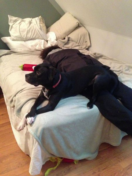 daily picdump 98 pics 24.html - 98 HD Photos | Premium Gallery 2012