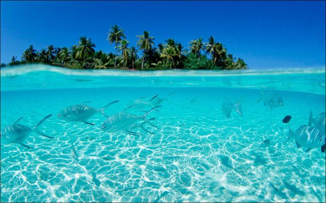 daily picdump 98 pics 24.html - 98 HD Photos | Premium Gallery 2012