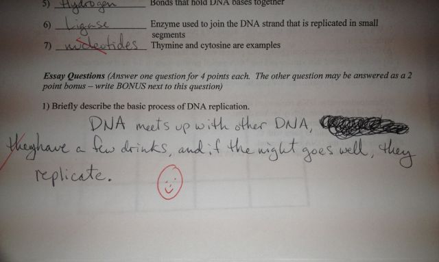 morning picdump 52 pics 33.html - 52 HD Photos | Premium Gallery 2012