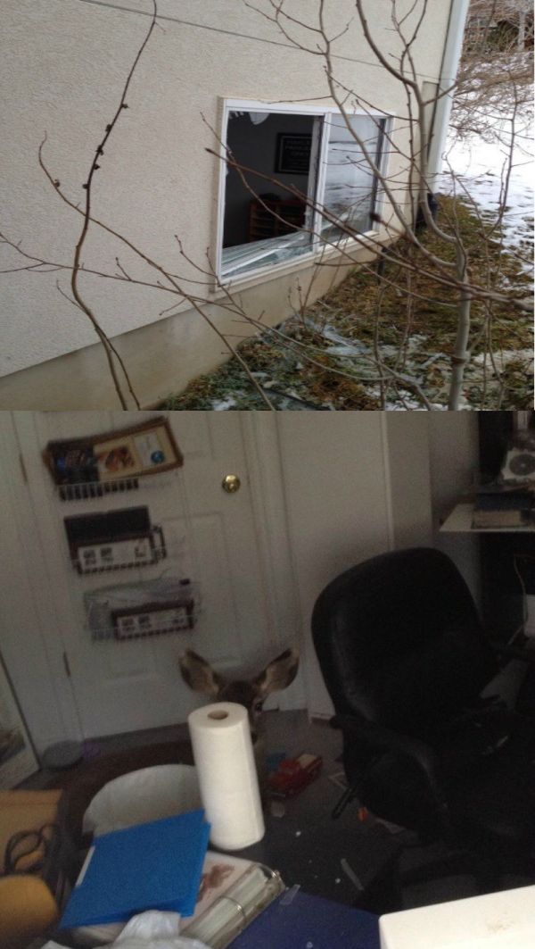 morning picdump 52 pics 33.html - 52 HD Photos | Premium Gallery 2012