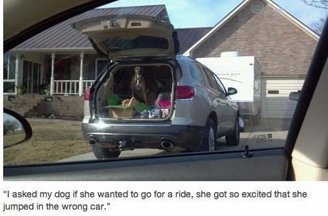 morning picdump 57 pics 2.html - 57 HD Photos | Premium Gallery 2012