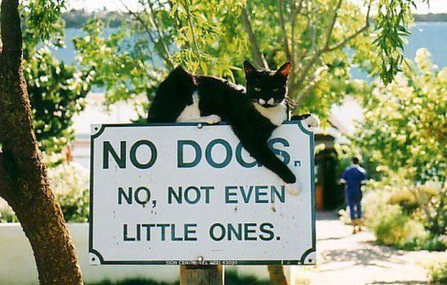 morning picdump 57 pics 2.html - 57 HD Photos | Premium Gallery 2012