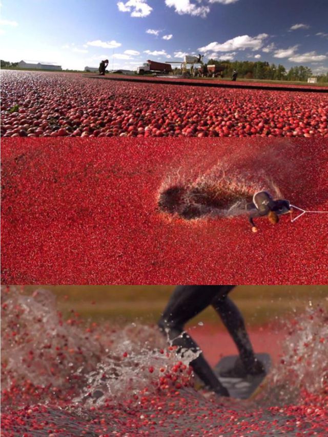 morning picdump 57 pics 2.html - 57 HD Photos | Premium Gallery 2012