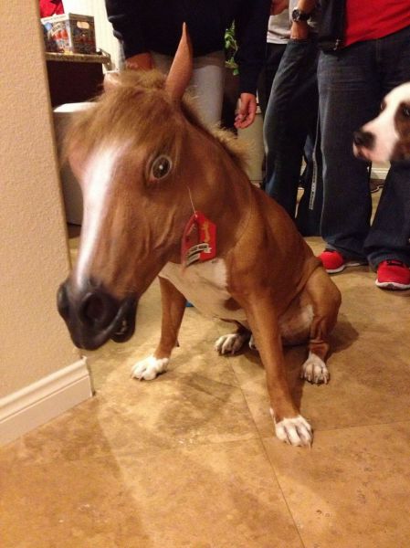 morning picdump 55 pics 54.html - 55 HD Photos | Premium Gallery 2012