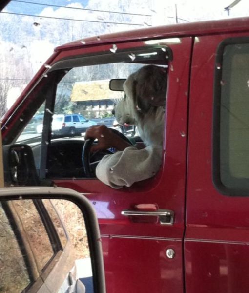 morning picdump 53 pics 48.html - 53 HD Photos | Premium Gallery 2012