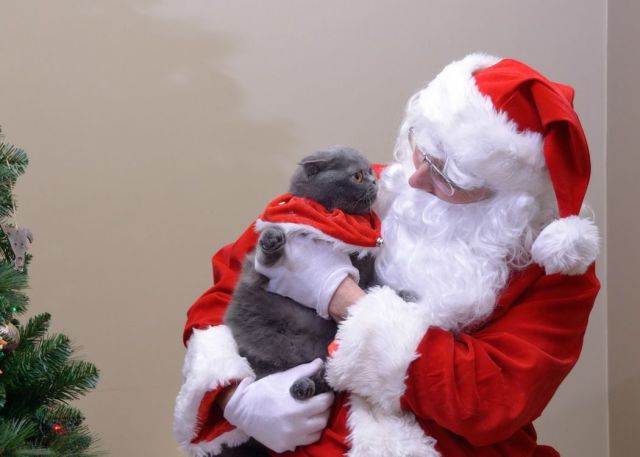 morning picdump 53 pics 48.html - 53 HD Photos | Premium Gallery 2012