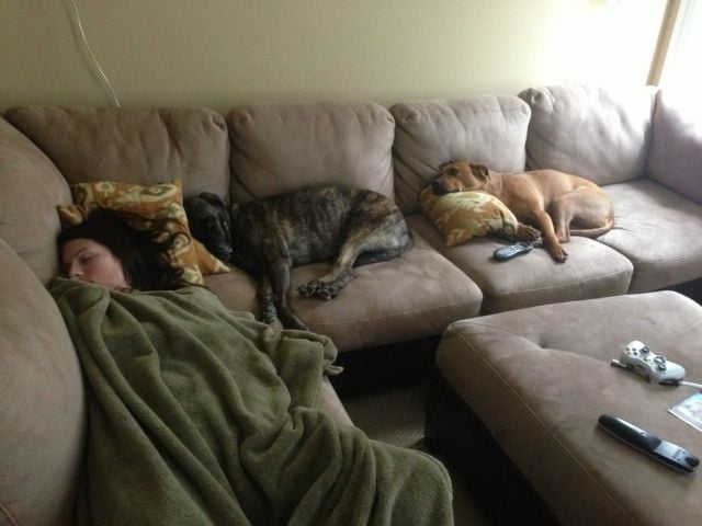 daily picdump 114 pics 9.html - 114 HD Photos | Premium Gallery 2012