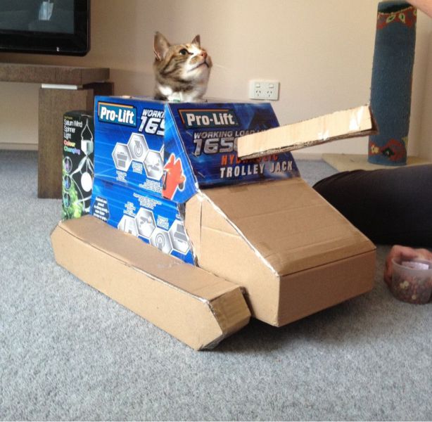 daily picdump 87 pics 12.html - 87 HD Photos | Premium Gallery 2012