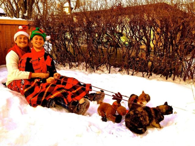 daily picdump 87 pics 12.html - 87 HD Photos | Premium Gallery 2012