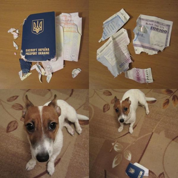 daily picdump 87 pics 12.html - 87 HD Photos | Premium Gallery 2012