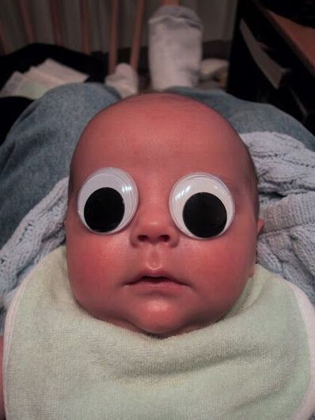 daily picdump 87 pics 12.html - 87 HD Photos | Premium Gallery 2012