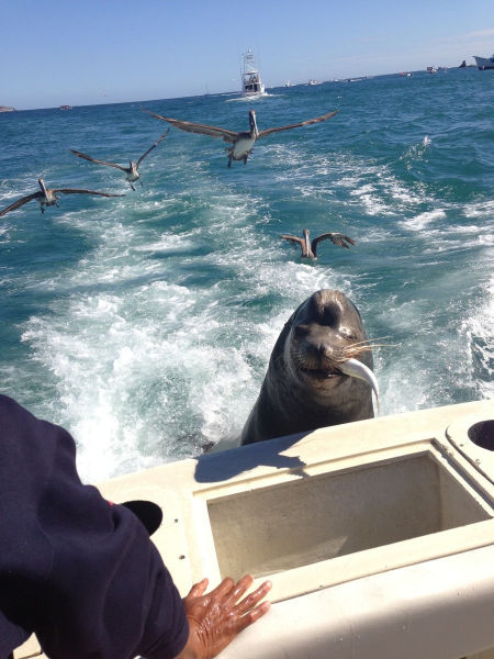 Morning Picdump