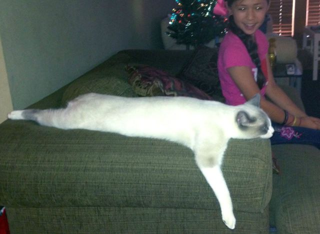morning picdump 56 pics 22.html - 56 HD Photos | Premium Gallery 2013
