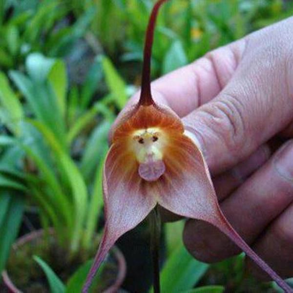 morning picdump 56 pics 22.html - 56 HD Photos | Premium Gallery 2013