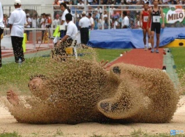 Morning Picdump