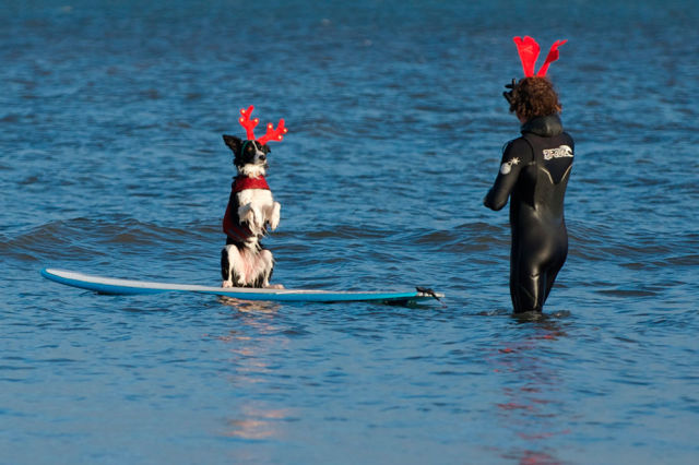 morning picdump 52 pics 15.html - 52 HD Photos | Premium Gallery 2013