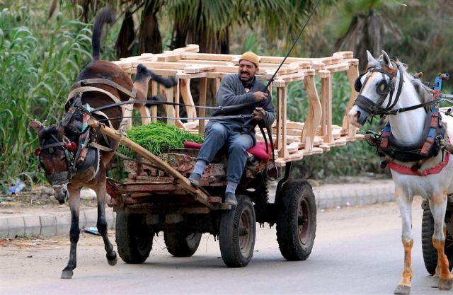 morning picdump 52 pics 15.html - 52 HD Photos | Premium Gallery 2013