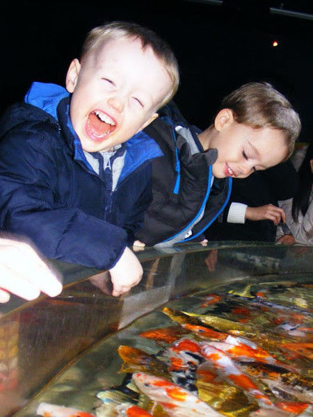 morning picdump 55 pics 28.html - 55 HD Photos | Premium Gallery 2013