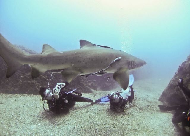 morning picdump 55 pics 28.html - 55 HD Photos | Premium Gallery 2013