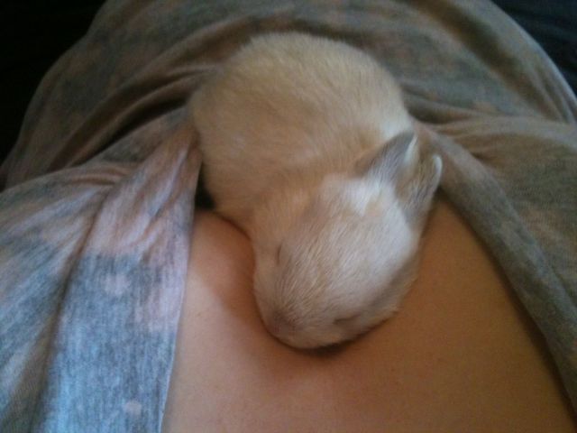 morning picdump 55 pics 28.html - 55 HD Photos | Premium Gallery 2013