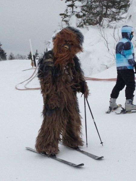 morning picdump 55 pics 12.html - 55 HD Photos | Premium Gallery 2013