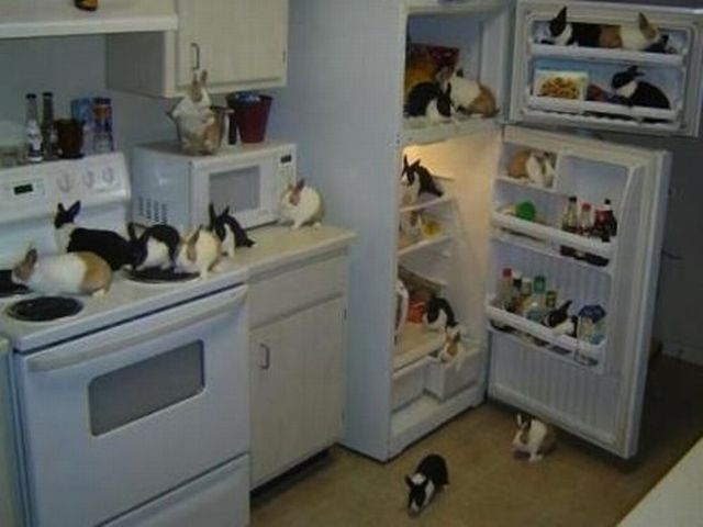 morning picdump 57 pics 1.html - 57 HD Photos | Premium Gallery 2013