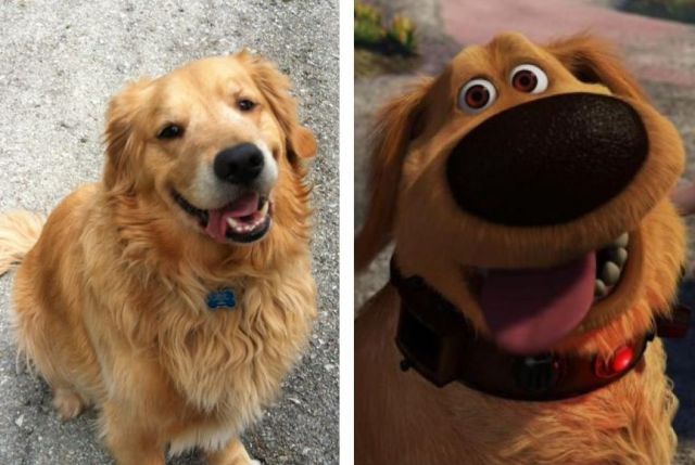 morning picdump 57 pics 1.html - 57 HD Photos | Premium Gallery 2013