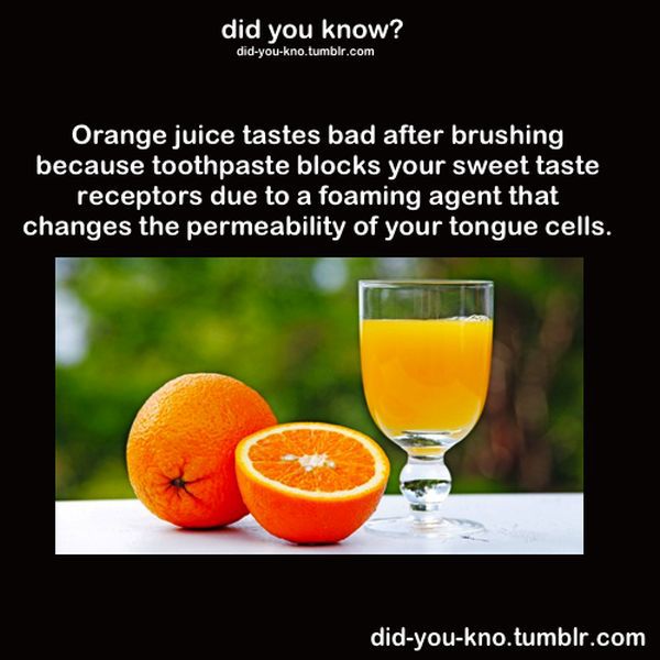 Fascinating Trivia That’s Good to Know