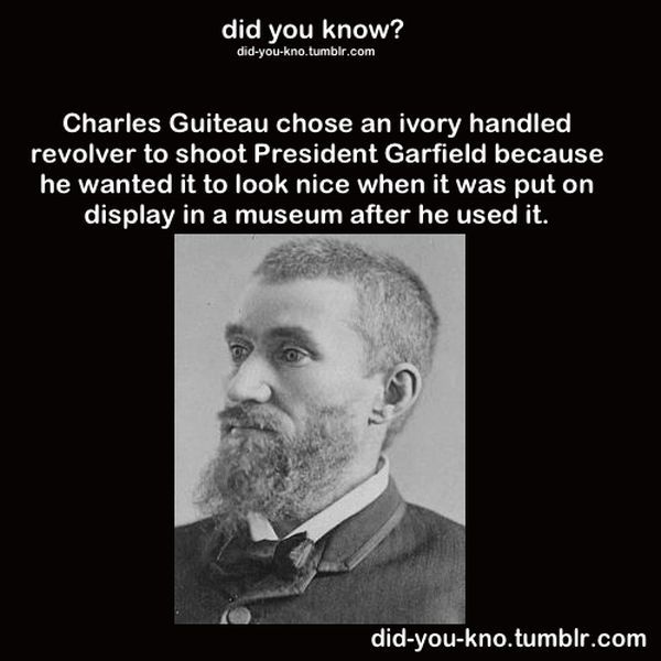 Fascinating Trivia That’s Good to Know