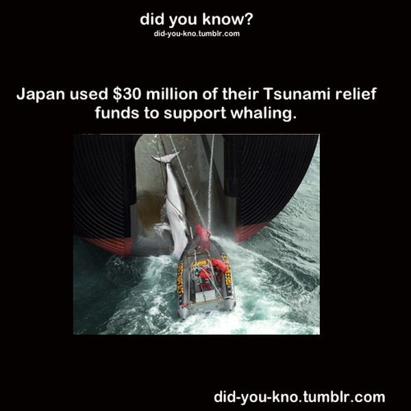 Fascinating Trivia That’s Good to Know