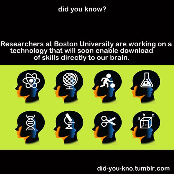 Fascinating Trivia That’s Good to Know