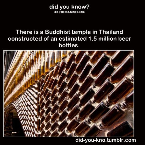 Fascinating Trivia That’s Good to Know