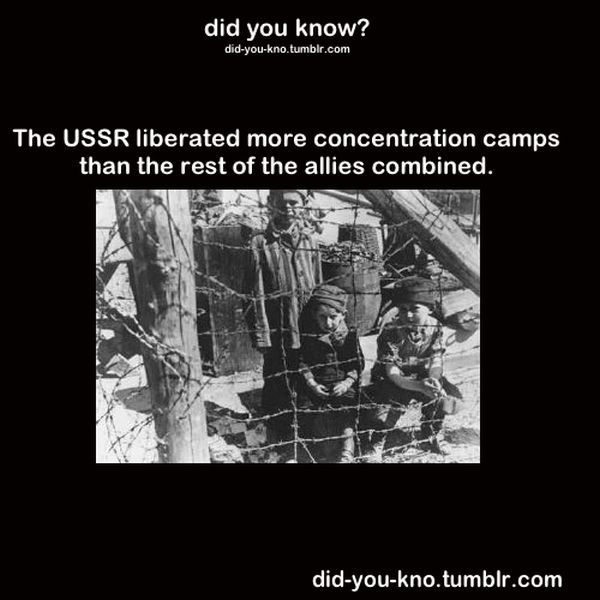 Fascinating Trivia That’s Good to Know